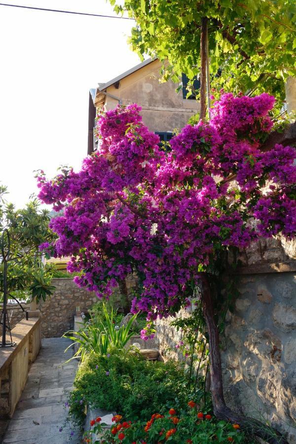 Villa Matilda Dubrovnik Exterior photo